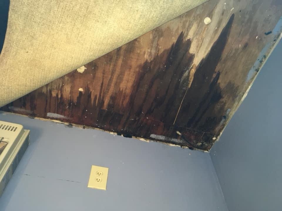 Slide of Salter's Construction