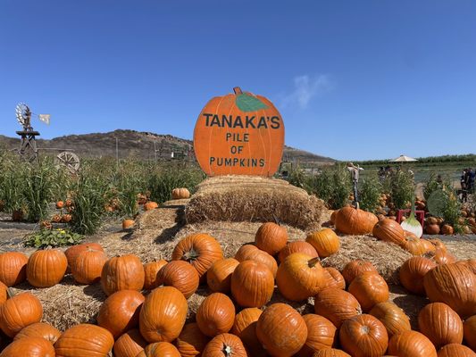 Tanaka Farms by null