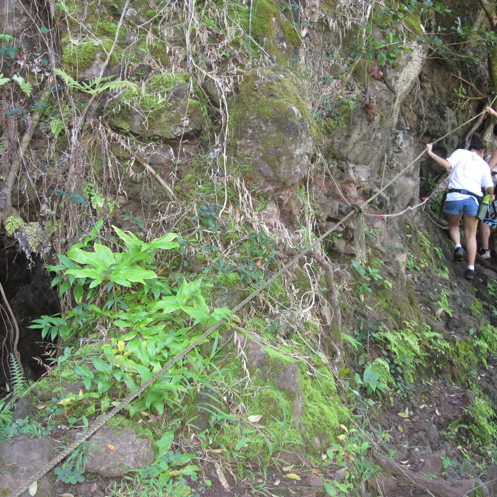 Waimano Loop Trail - See the tunnel to the left? - Hiking Near Me - Pearl City, Hawaii Waimano Loop Trail - See the tunnel to the left? - Hiking Near Me - Pearl City, Hawaii