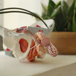 The Healing Pelvis