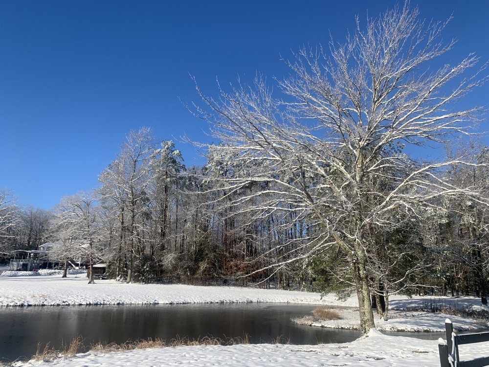 Otterdale Kennels - pet boarding facility in Midlothian, VA