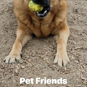 Man-K9 - San Diego Dog Training - Pet Training Near Me - San Diego, California Man-K9 - San Diego Dog Training - Pet Training Near Me - San Diego, California