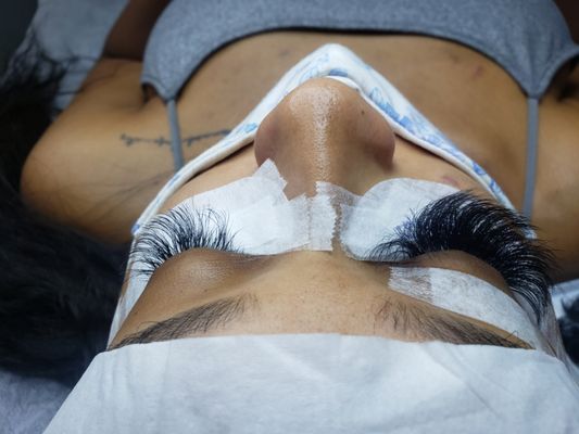 Virtue Lash by null
