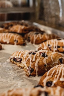 Ovenbird Bakery by null