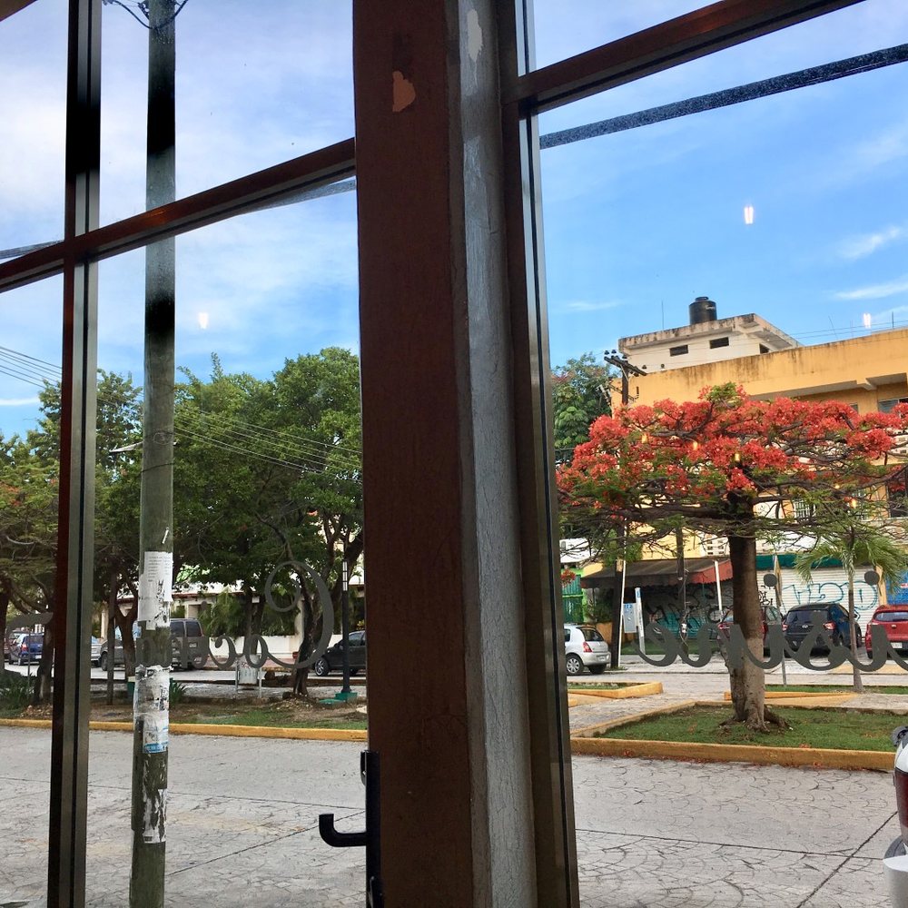 Patravali - Patravali_cancun_Sanju-3 - Indian Near Me - Cancún, ROO