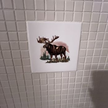 Creekside Lodge - How cute?! A moose! - Hotels Near Me - Markleeville, California