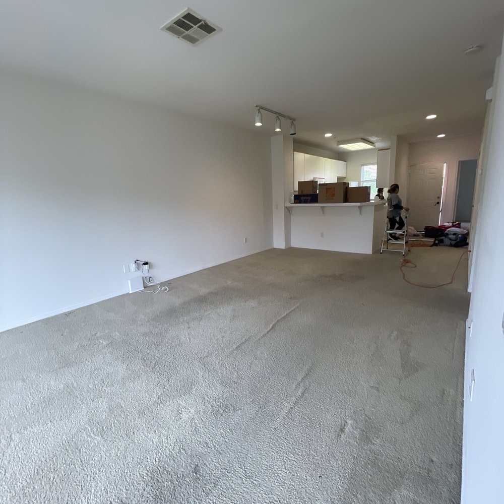 FH Carpet Cleaning - Before! - Carpet Cleaning Near Me FH Carpet Cleaning - Before! - Carpet Cleaning Near Me