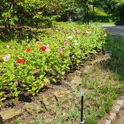 Rogers Irrigation