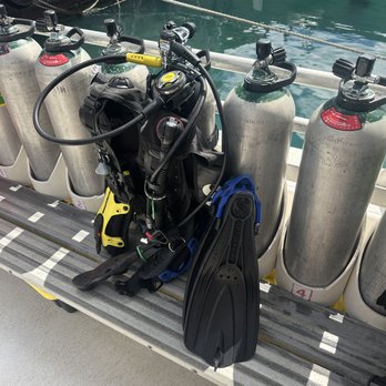 Dive Oahu - Gear - Snorkeling Near Me - Honolulu, Hawaii Dive Oahu - Gear - Snorkeling Near Me - Honolulu, Hawaii