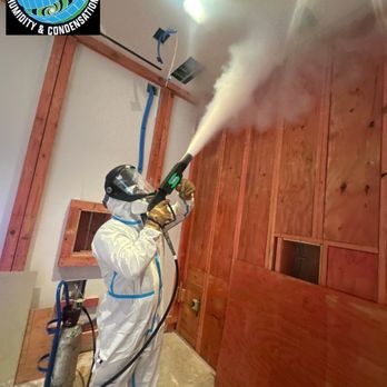 Fix Mold - Environmental Abatement Near Me - Miami, Florida