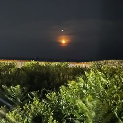 Windswept Motel - Moon from the balcony