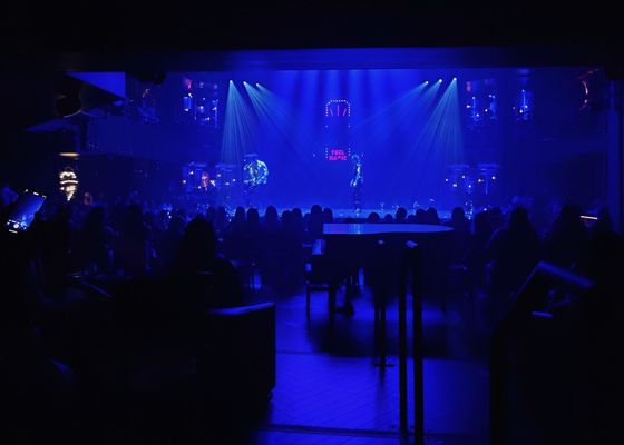Magic Mike Live by null