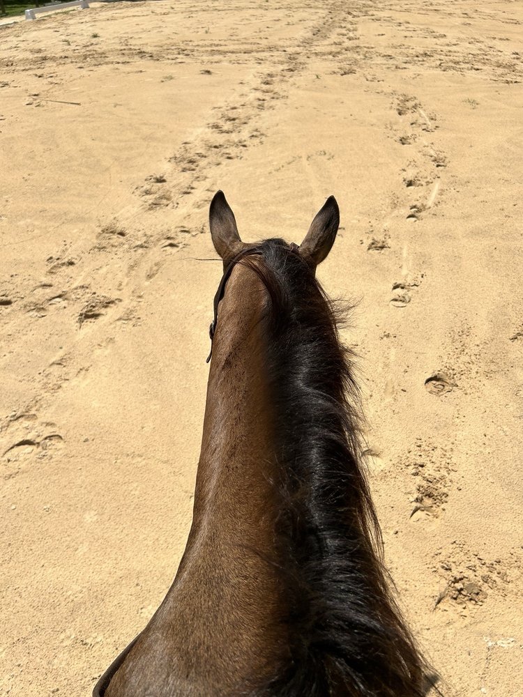 Equestrian Training Center of Ocala - equestrian in Ocala, FL