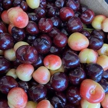 Impossible Acres Farm - Cherries!! - Pick Your Own Farms Near Me - Davis, California