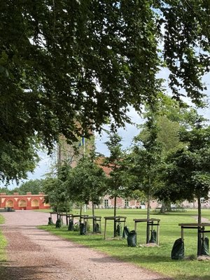 Bäckaskog Slott by null