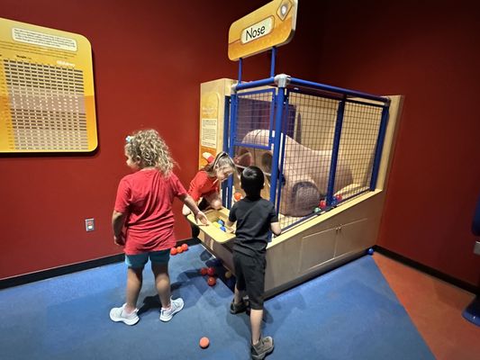 Arizona Science Center by null