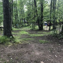 Scenic View Campground - Woods