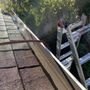 Photo of Gutter & Roof cleaning services