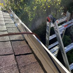 Gutter & Roof cleaning services
