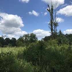 Hoover Meadows