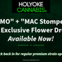 Holyoke Cannabis Dispensary