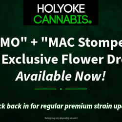 Holyoke Cannabis Dispensary - "GMO" + "MAC Stomper" HC Dispensary Exclusive Flower | Holyoke Cannabis Dispensary | Holyokecannabis.com