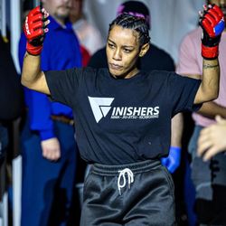 Finishers MMA