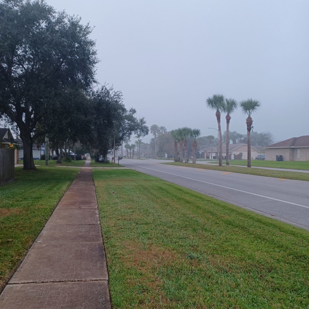 WEDGEFIELD Updated August 2024 Orlando, Florida Local Flavor Yelp