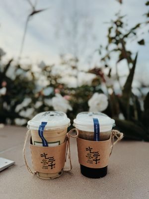 Chicha San Chen 吃茶三千 by null