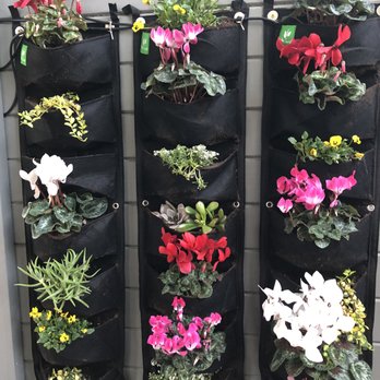 Almaden Valley Landscape - Hanging pocket planter that Ken made for us. - Landscaping Near Me - San Jose, California