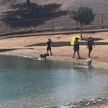 Cosmo Dog Park - Dog Parks Near Me - Gilbert, Arizona