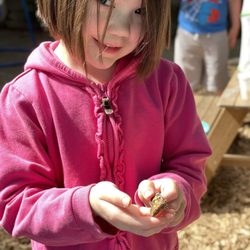 Mi Escuelita Bilingual Preschool & Childcare - Exploring nature