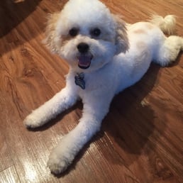 Back from a groom with JD and looking fabulous.