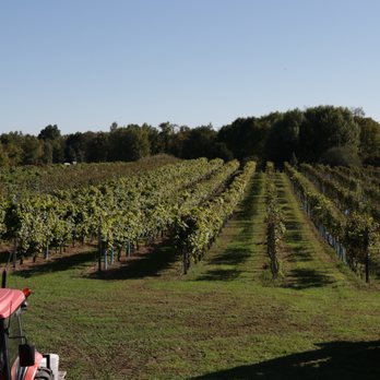 Clermont Vineyards & Winery - Wine Tasting Room Near Me - Germantown, New York Clermont Vineyards & Winery - Wine Tasting Room Near Me - Germantown, New York