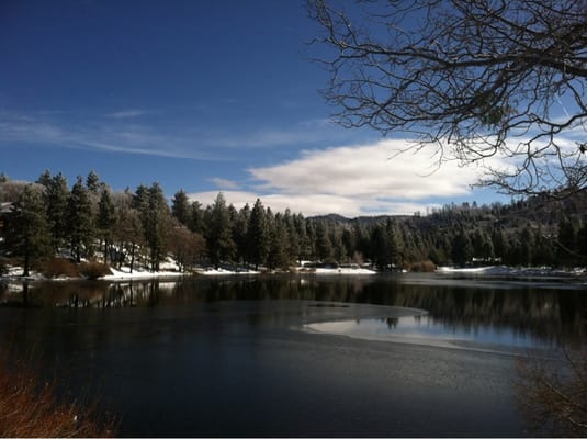 AlexLuv2Cook Market by null