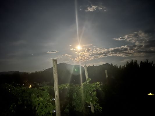 Big B's Delicious Orchards U-pick, Cafe & Tasting Room by null