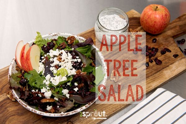 Eat Sprout - Bethesda Row by null