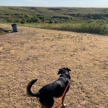 Happy Tails Travel - The desert! - Travel Services Near Me Happy Tails Travel - The desert! - Travel Services Near Me
