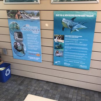 Dolphin Quest - Tours Near Me - Waikoloa, Hawaii