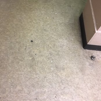 TN Dept Of Human Services - Filthy floors ughh - Public Services & Government Near Me - Memphis, Tennessee