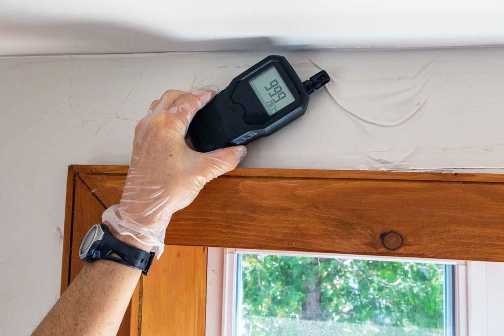 KD Associates - mold inspector in South Burlington, VT