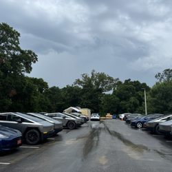 Tesla - Lot