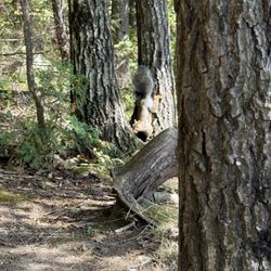 Mt Philo State Park