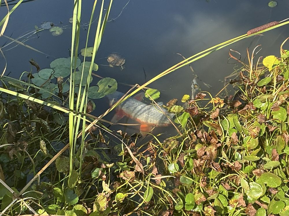 Social spots from Hahn Horticulture Garden