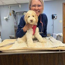 South Mill Veterinary Clinic - Wonderful and caring staff. Very trustworthy. I highly recommend.