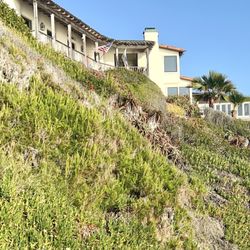 Pearl Street Beach