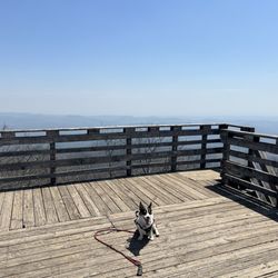 Rabun Bald via Beegum Gap Trail - The lookout tower.