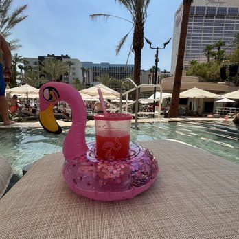 Flamingo Las Vegas - Hotels Near Me - Las Vegas, Nevada Flamingo Las Vegas - Hotels Near Me - Las Vegas, Nevada
