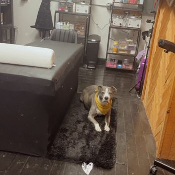 Mystic Body - Our suite with suite dog Brutus! - Massage Therapy Near Me - Utica, New York Mystic Body - Our suite with suite dog Brutus! - Massage Therapy Near Me - Utica, New York
