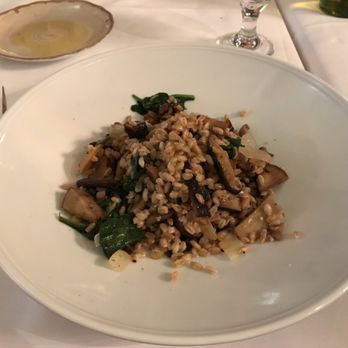 Parizade - Organic Farro - Mediterranean Near Me - Durham, North Carolina